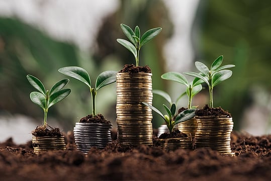 Attention Share Market Aspirants! Here’s The Beginner's Guide To Start Investing In Stocks