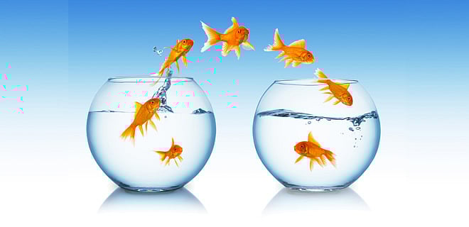 How to determine when to exit a fund?