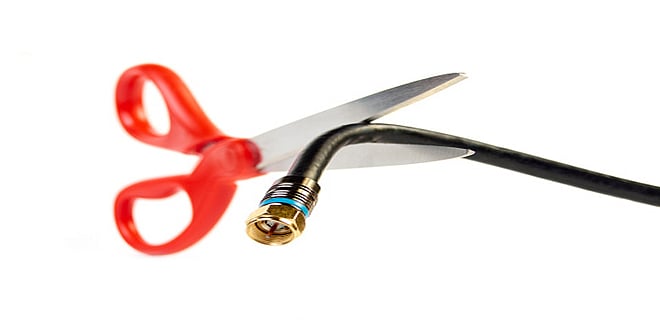 Can the insurer cancel the policy if any incorrect statement is found?