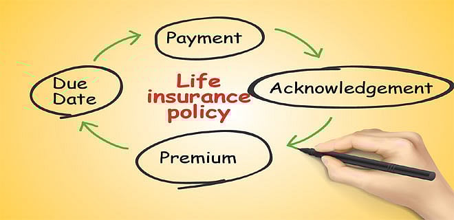 Policy renewal is vital