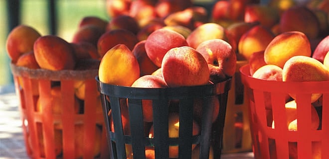 Insurance plus wealth creation