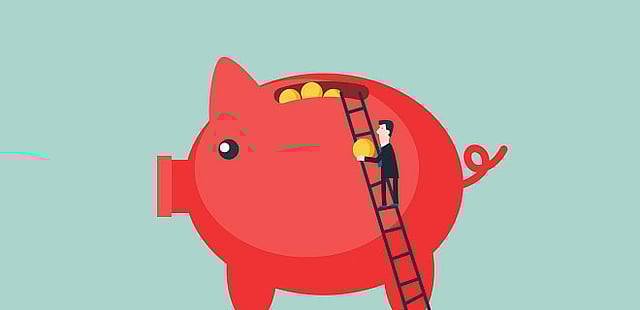 Is DSPBR Tax Saver the right fund to invest?