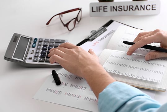Life Insurers Report 13 Per Cent Growth In Premiums Despite Drop In Policy Sales, Driven By Private Sector Surge

