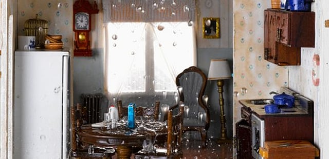 Can I add my brother's belongings under my home insurance cover?