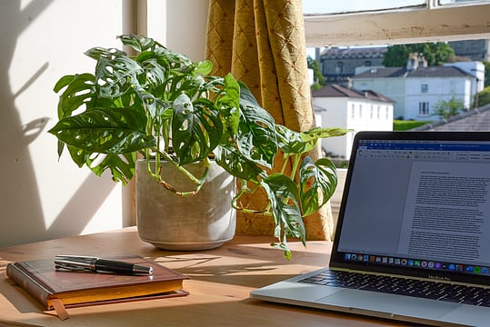 Key Factors Young Entrepreneurs Must Consider Before Establishing A Business 

 