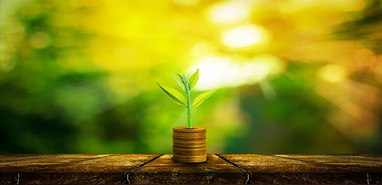 Sebi Mulls Allowing Phased Physical Settlement For Select Agri-Commodity Derivatives - null