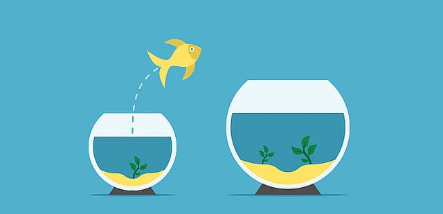 Must know: Replacement value