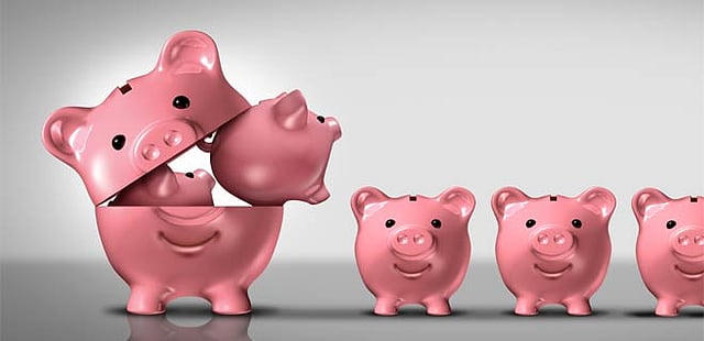 Should I invest in Reliance Regular Savings Fund?