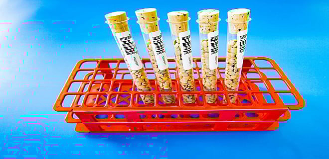 What are hybrid mutual funds?