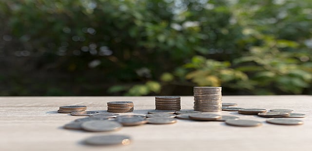 Can I claim tax benefits for the amount paid on our PPF contribution?