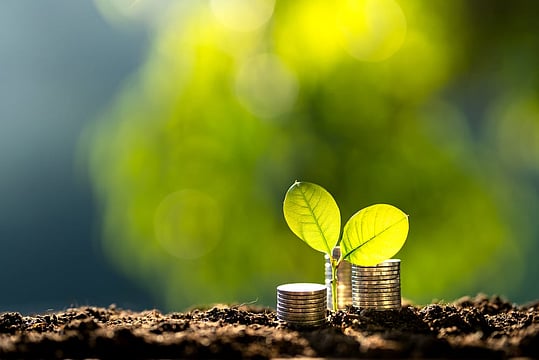 SBI Launches Green Rupee Term Deposit To Support Green Finance Ecosystem