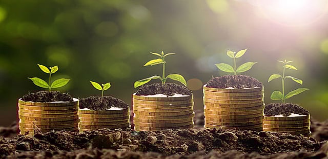 After investing in HSBC Fund for 13 years, should I stay invested or exit?