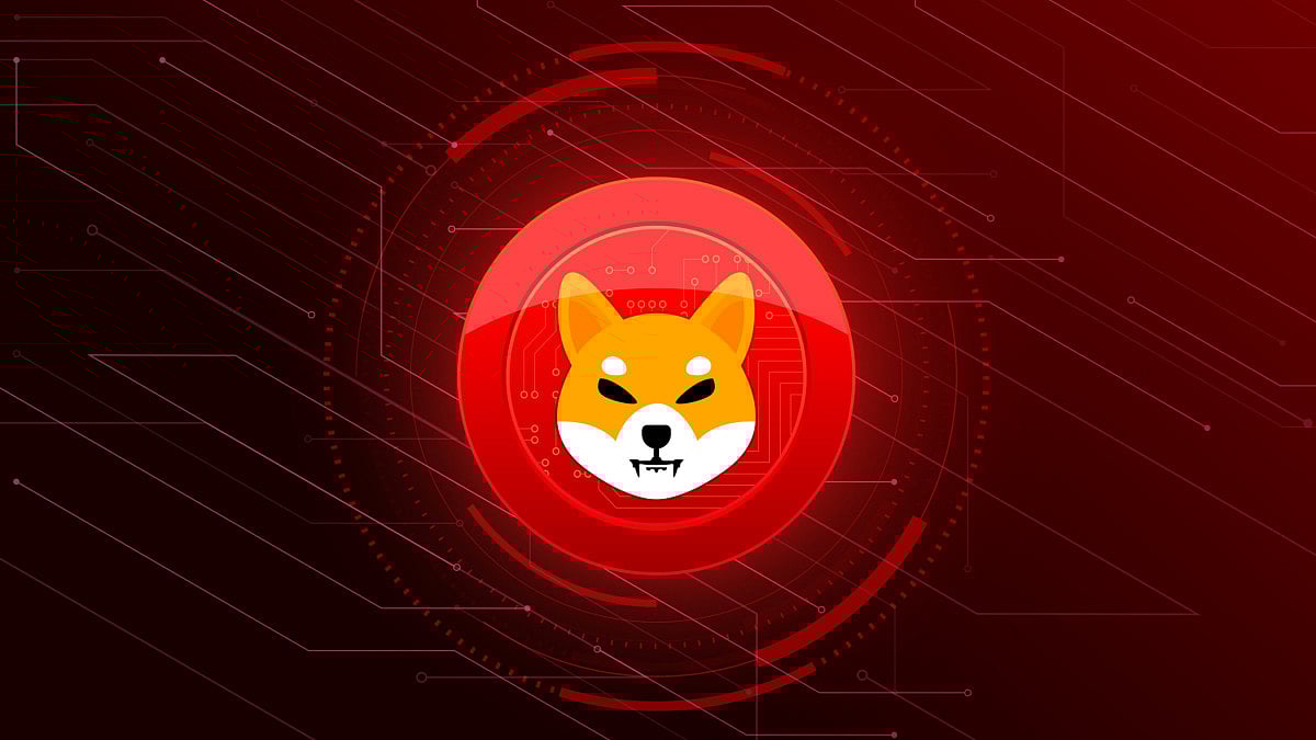 Why Have Prices of Shiba Inu Risen Over 50% In A Week?