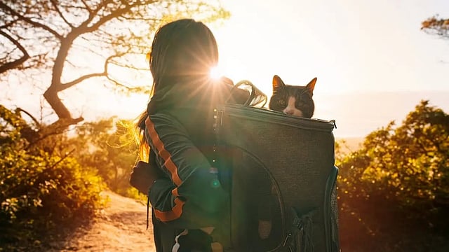 More Women Are Now Travelling Solo, Here’s How To Plan One