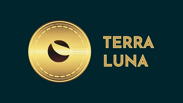 Terra Tax Burn: Terra Jumps 200%, Terra Classic Top Loser; What It Means
