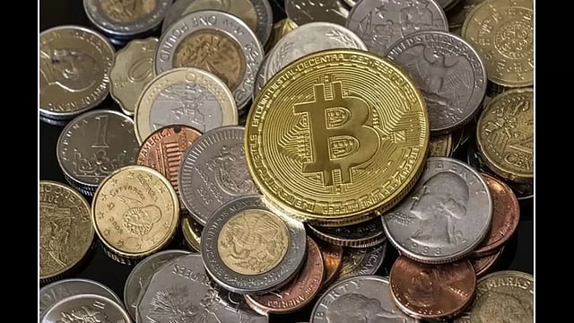 Avalanche Embraces Memecoin Culture Despite Criticism