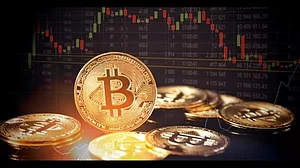 Bitcoin Drops Over 20 Per Cent In November: What Investors Need to Know