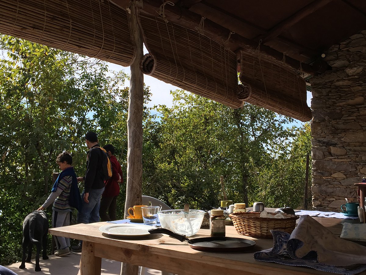 A Home Away From Home: Best Eco-Friendly Homestays In India 4 Tanhau Homestay