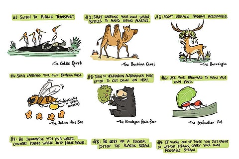 12 Green Resolution Suggestions From Wild Animals