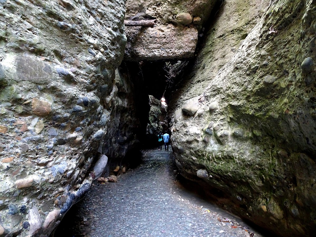 Why Robber's Cave Is One Of The Best Places To Visit In Dehradun