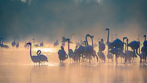 Dubai Tourist Places