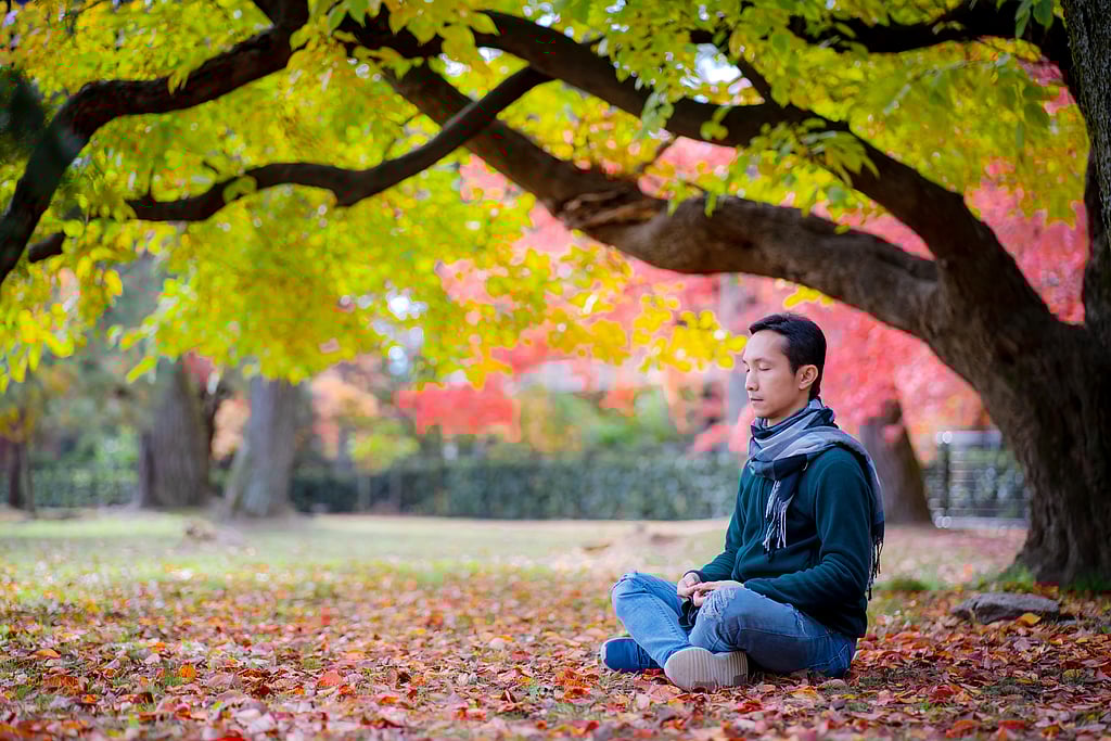 Top 5 Digital Detox Retreats In India For A Mindful Escape