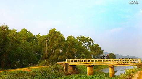 The Kireedam Bridge runs across the Vellayani Lake, the region's largest freshwater lake 