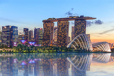 All About Rainforest Wild Asia, Singapore’s Fifth Wildlife Park Set To Open In March 2025