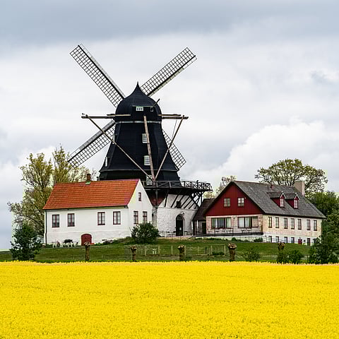Windmills and farms in Malmo, Sweden