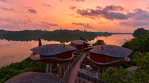 Mandai Wildlife Reserve