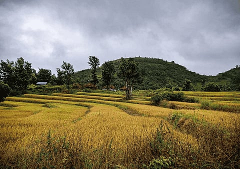 Lambasingi, an offbeat destination in Andhra Pradesh