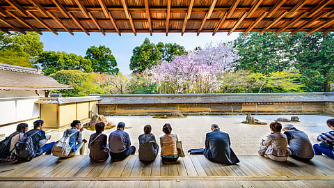 Architecture Without Purpose