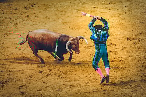 Bullfighting In Mexico Is Banned 