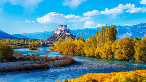 Pahalgam Terror Attack