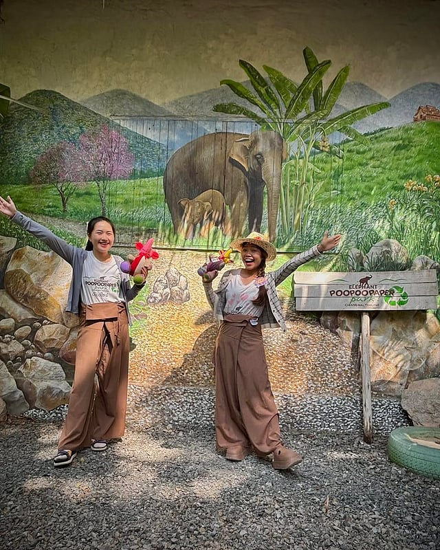 Poopoopark This Park In Chiang Mai Transforms Elephant Poo To Paper