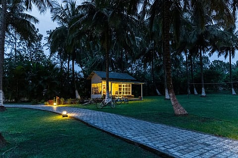 Mango Orchard Retreats In India