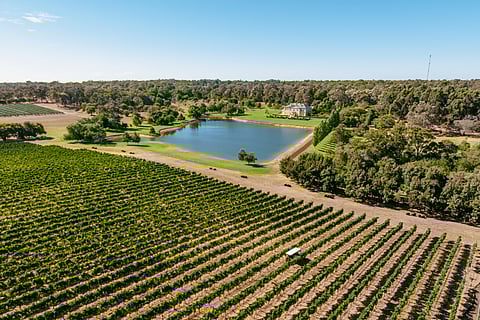 The Margaret River region in Australia will host World's 50 Best Vineyards 2025