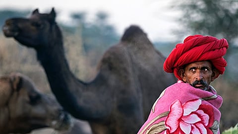 The Raikas Of Rajasthan