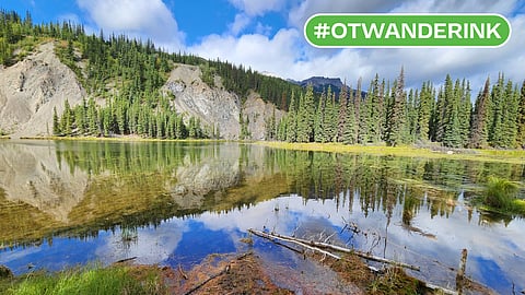 Exploring Denali: Guide To Alaska's Majestic National Park