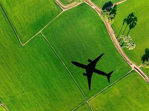 What are Carbon Passports