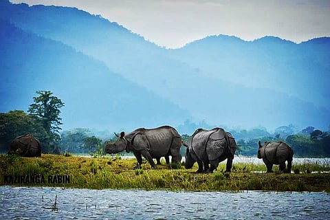 Kaziranga National Park To Reopen Early For Durga Puja 2025