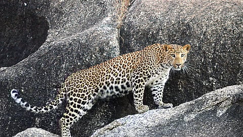 Exploring Bera in Rajasthan