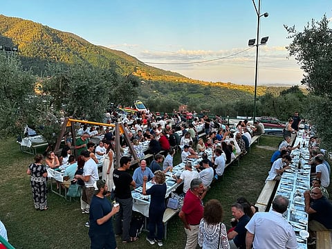 All About Italy's Ancient Olive Harvest Festival