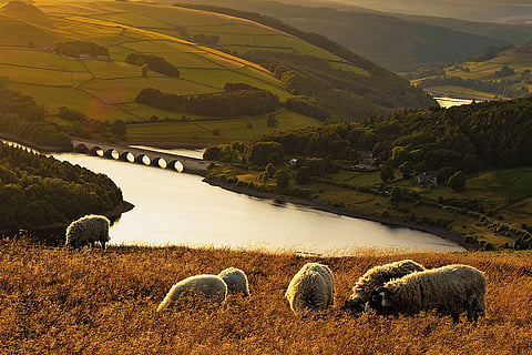 The Peak District National Park has dramatic gritstone ridges and stark moorland plateaus