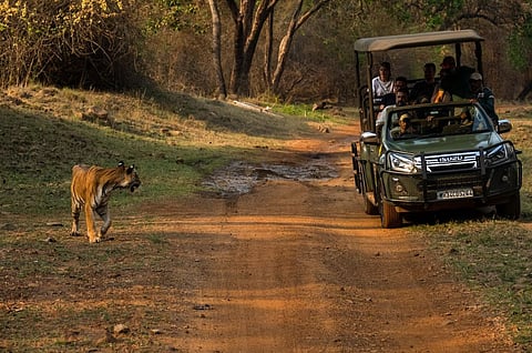 Stunning Wildlife Lodges In India