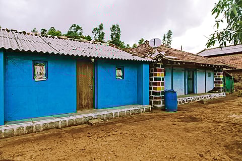 Purushwadi fireflies