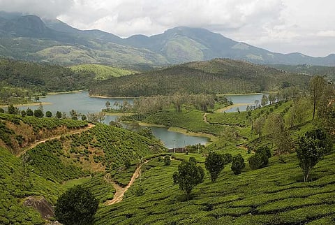 Yelagiri Hills in Tamil Nadu