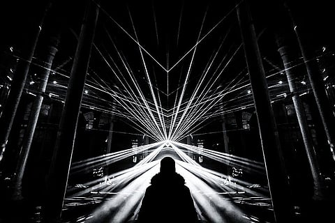 Visit the Enchanted Woodland in London