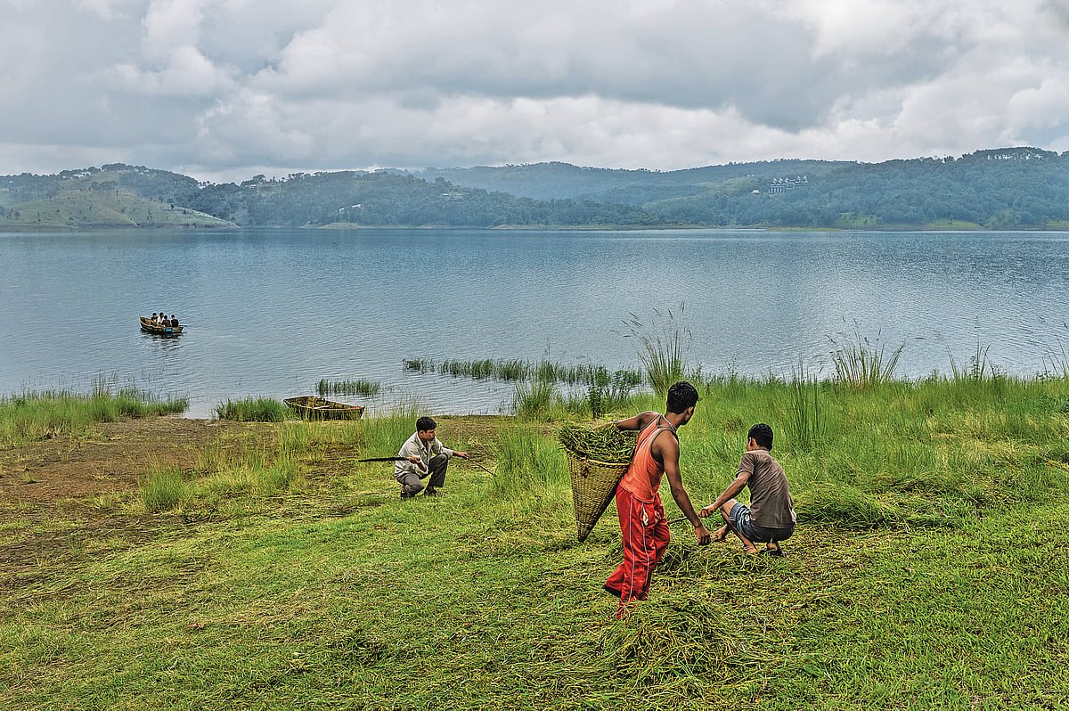 Umiam Lake, a mesmerising man-made reservoir, is located at a distance of 15 kilometres north of Shillong
