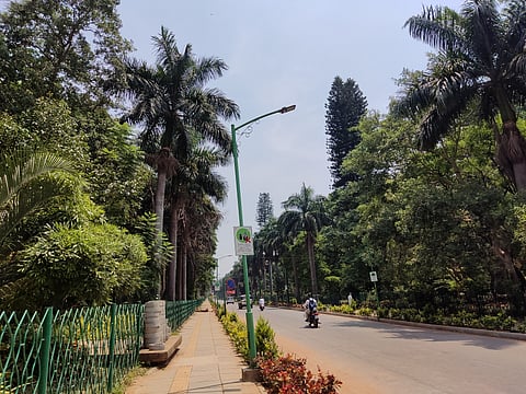 Cubbon Park